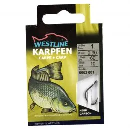 Angelhaken Karpfen schwarz 10 Stück