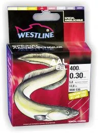 Angelschnur Zielfisch Aal